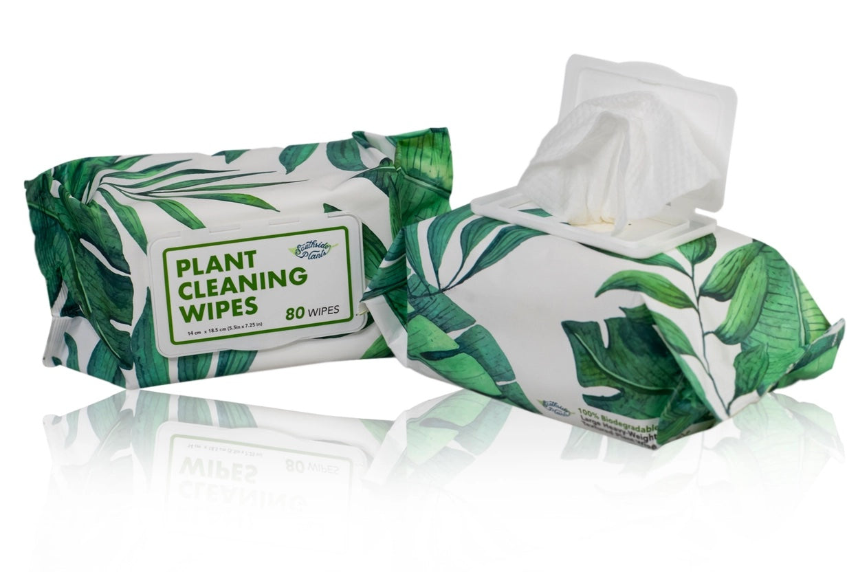 Plant Cleaning Wipes