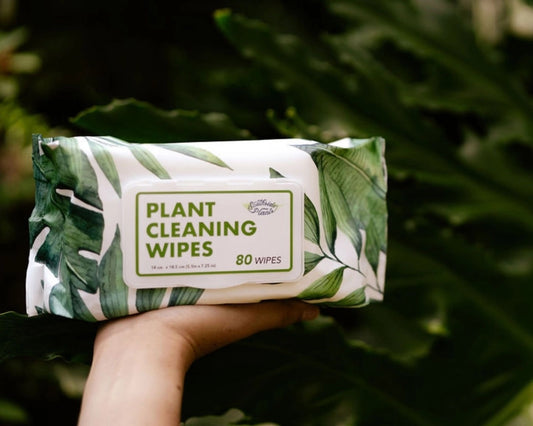 Plant Cleaning Wipes